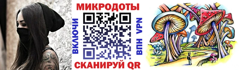 Купить закладки  Камызяк  Псилоцибиновые грибы GOLDEN TEACHER 